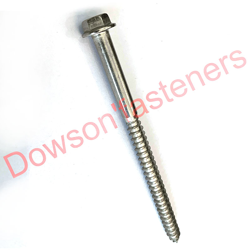 Tornillo para madera con cabeza de brida SS304